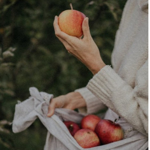 陈冠希张柏芝视频云盘
